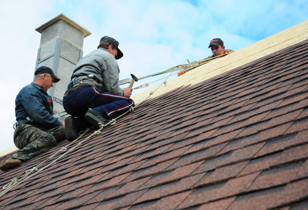 Best Roof Gutter Cleaning  in Random Lake, WI